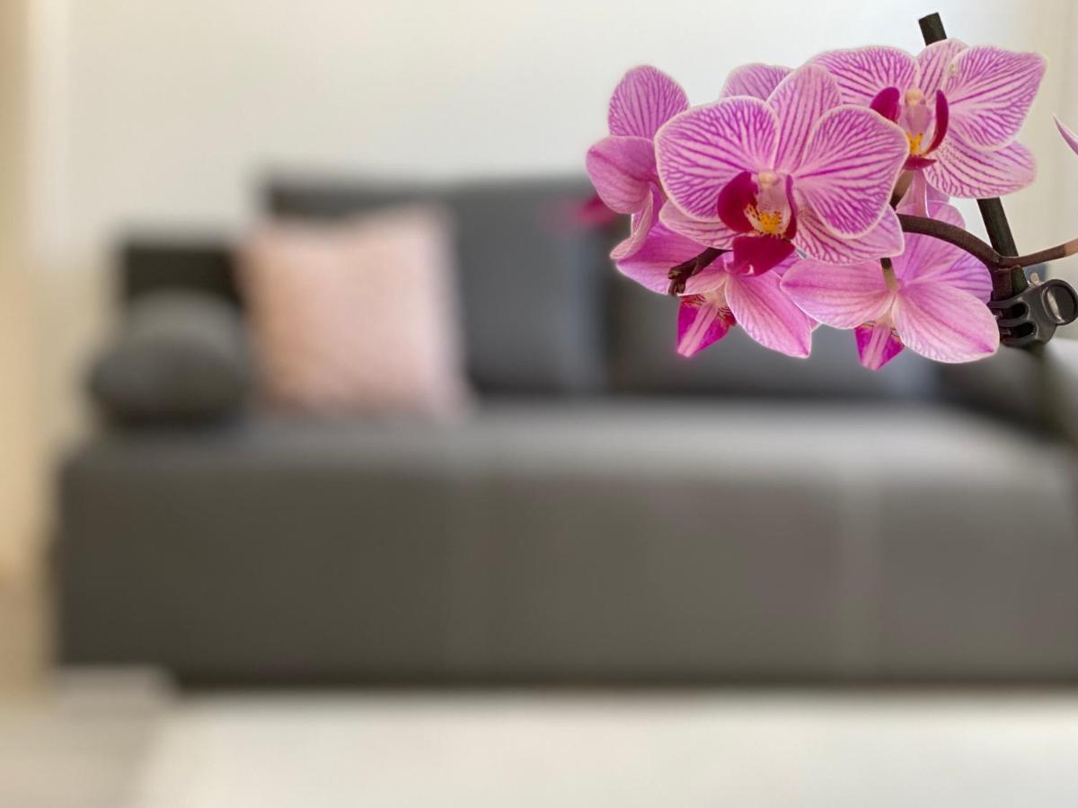 Andrea Appartement Hajdúszoboszló